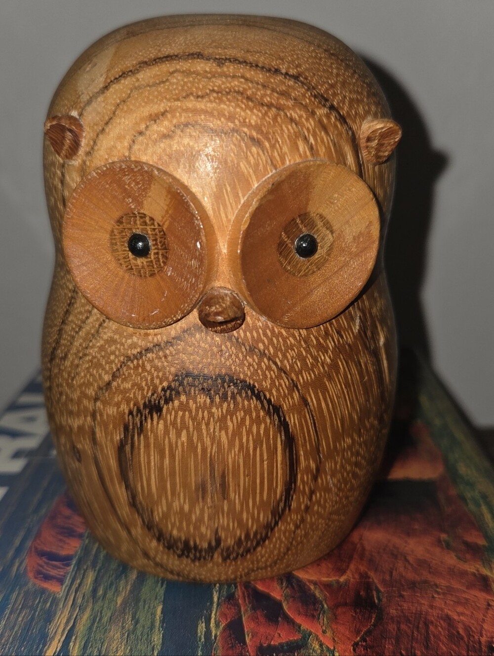 MCM Laudris Lønborg - Owl